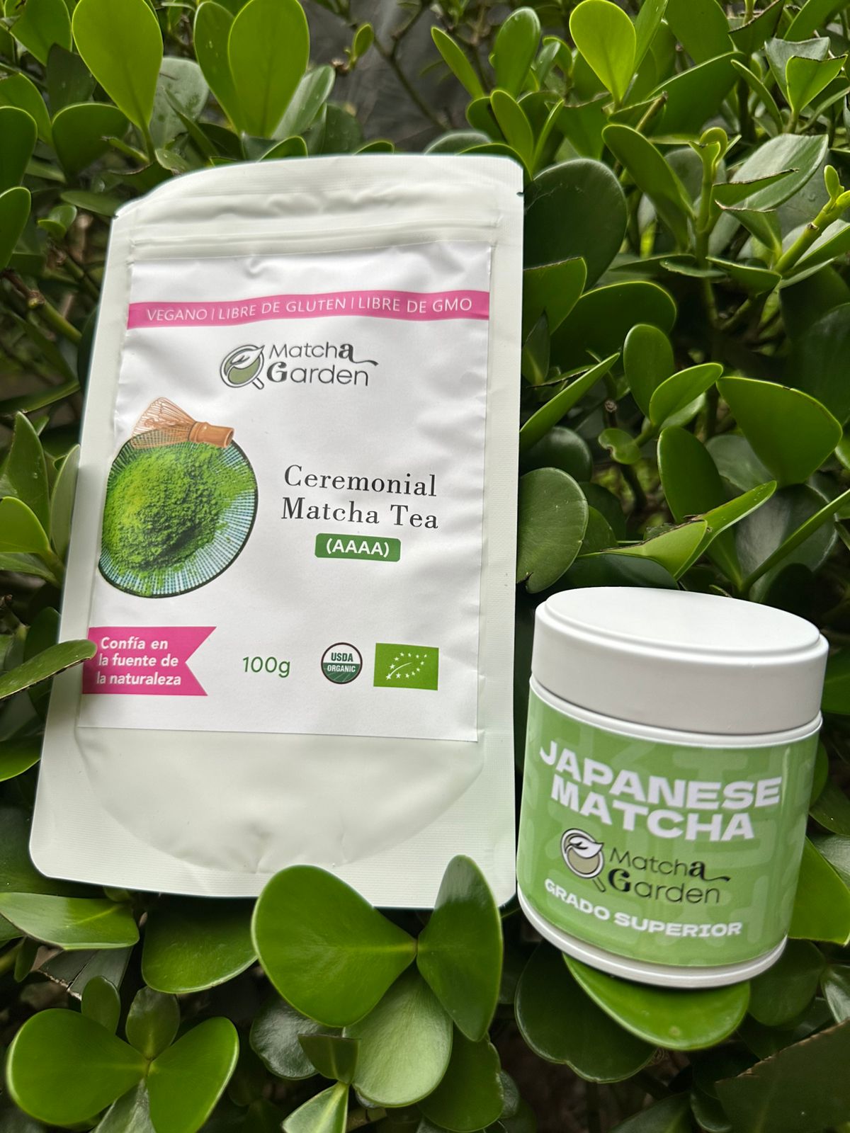 Matcha grado tradicional (100 gramos) **Envase de regalía**