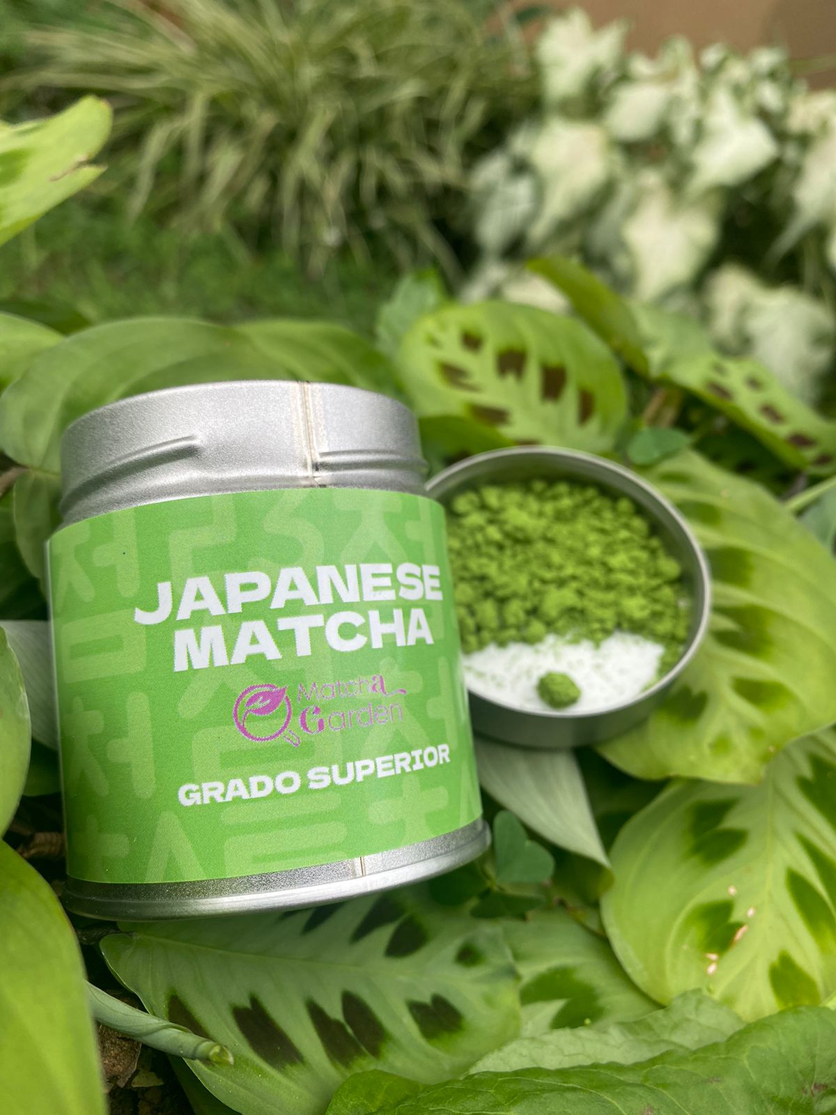 Matcha grado Superior